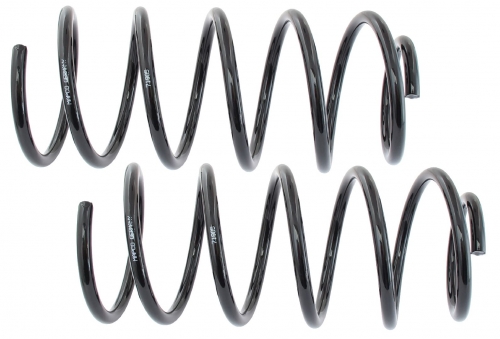 MAPCO 71905/2 Suspension Kit, coil springs