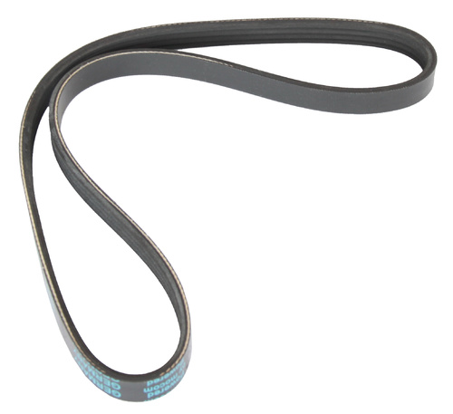 MAPCO 240775 V-Ribbed Belt